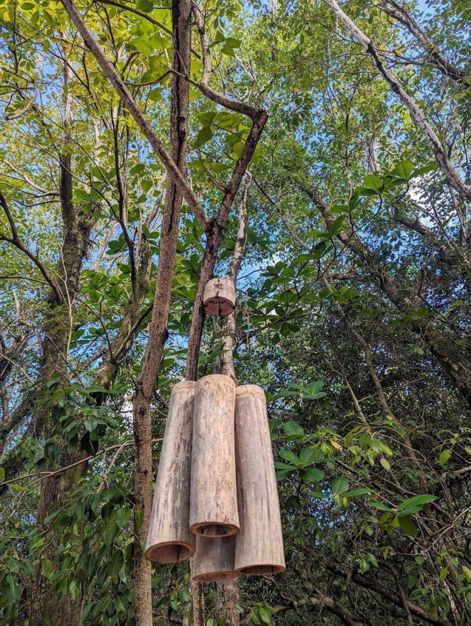 סנט-לוס Eden Paradise Ecolodge & Spa מראה חיצוני תמונה