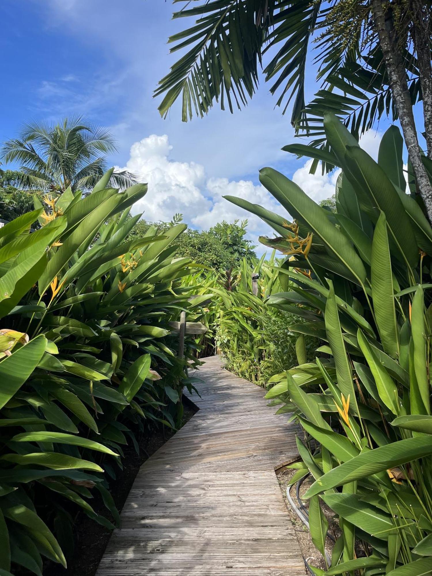 סנט-לוס Eden Paradise Ecolodge & Spa מראה חיצוני תמונה