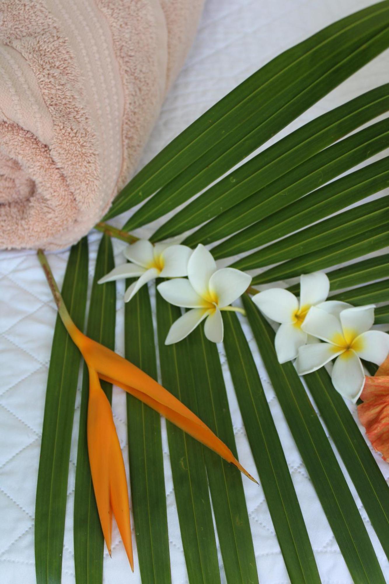 סנט-לוס Eden Paradise Ecolodge & Spa חדר תמונה