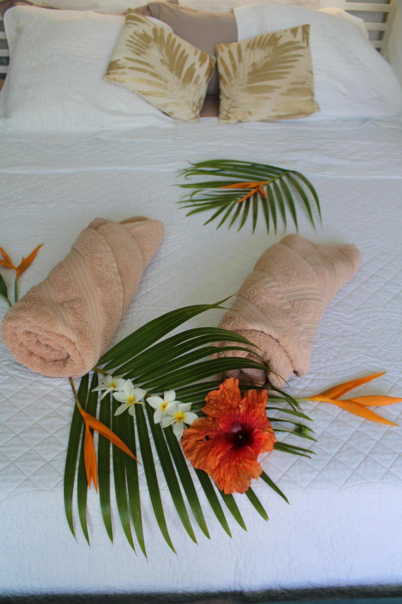 סנט-לוס Eden Paradise Ecolodge & Spa חדר תמונה